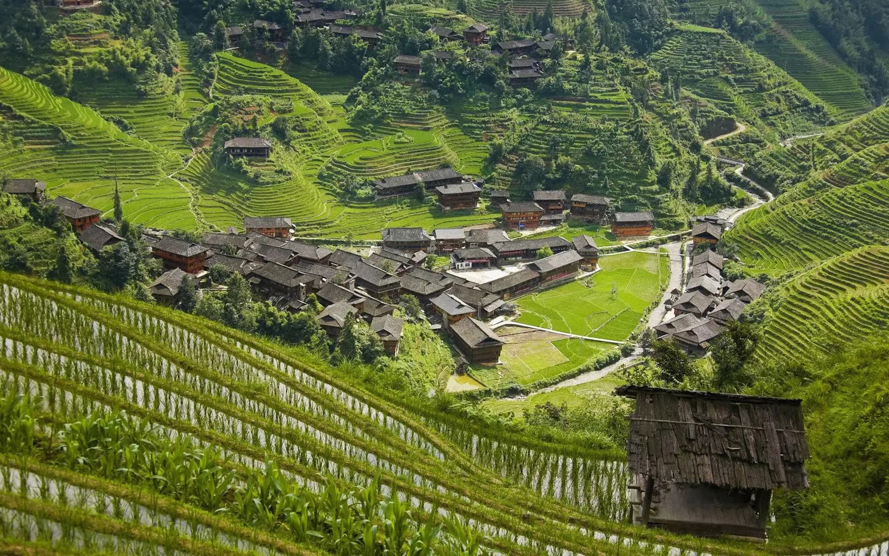 Guilin to Longji Rice Terraces Private Day Tour